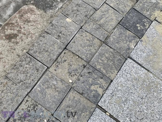 Фото: Дар'я Кучер