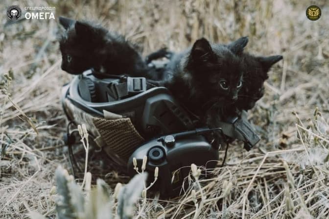 фото: генштаб