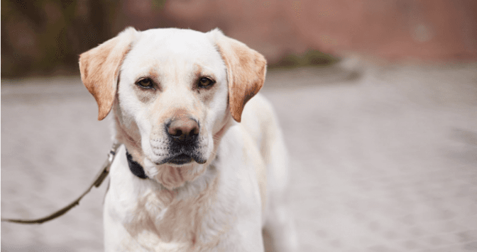 Фото: Іри Шелест