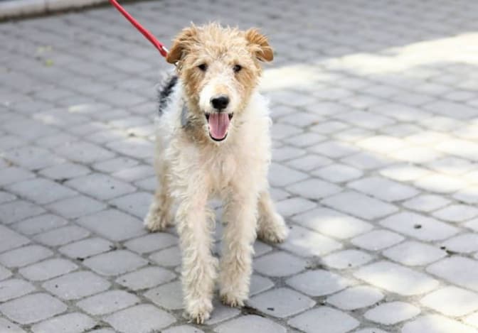 Фото: Марта Сирко