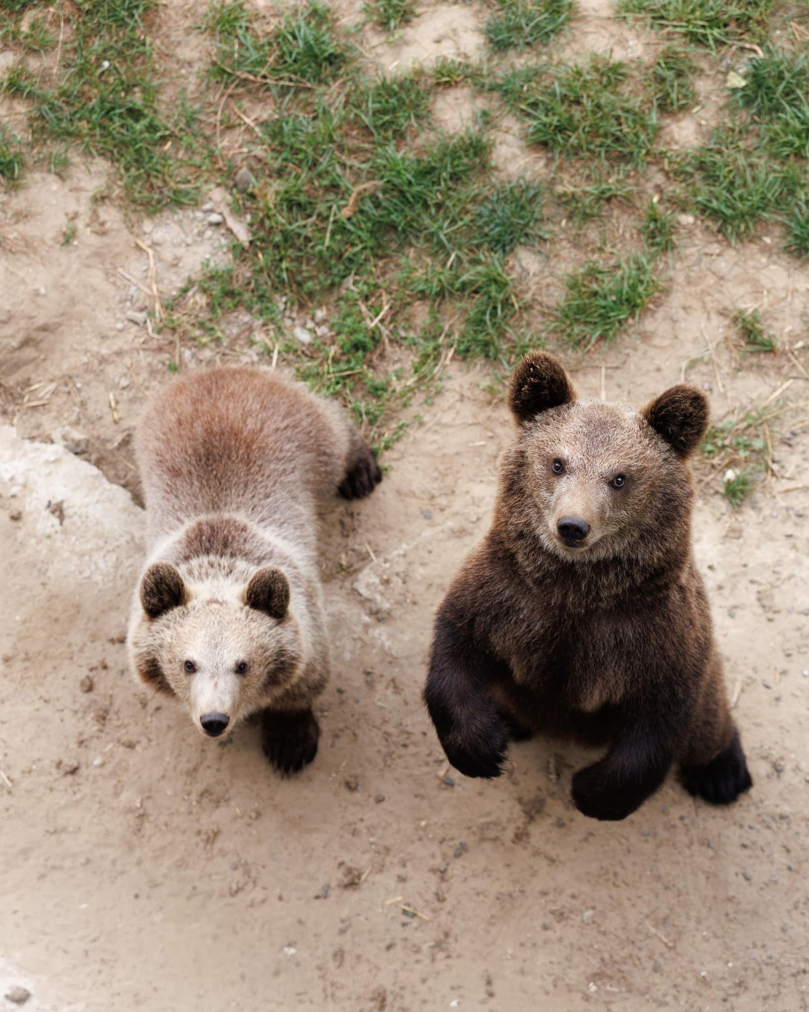 фото: домажир