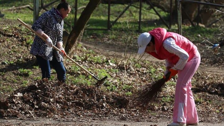 Львів’ян запрошують на спільне прибирання міста: як долучитися