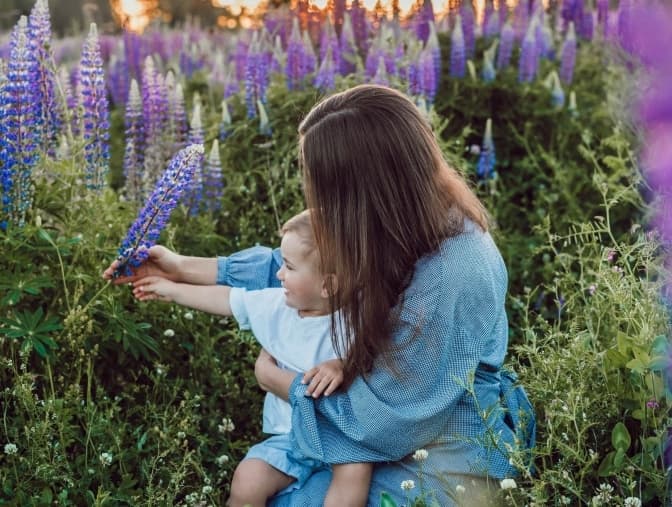 Чому потрібно захистити парки Львова та яким пенсіонерам у червні збільшать виплати. Головне за добу