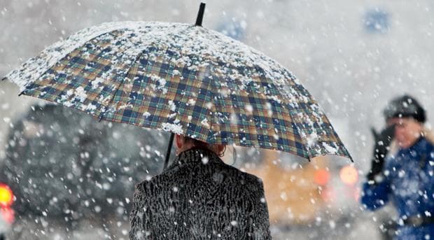 Фото: vikna.if.ua