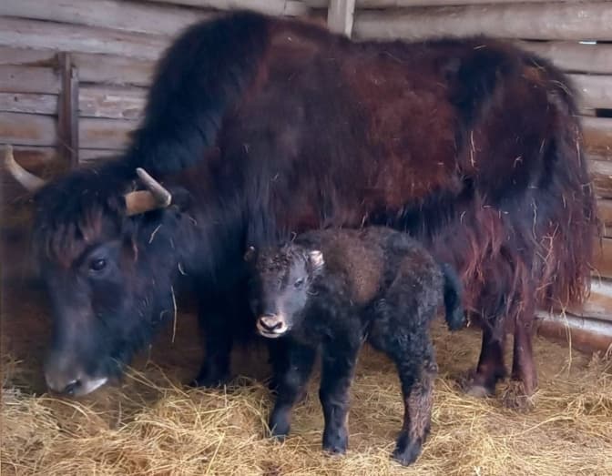 Фото: Віктор Шаповал