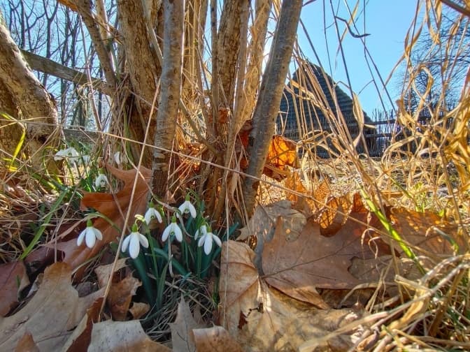 Фото: Музей народної архітектури та побуту у Львові імені Климентія Шептицького