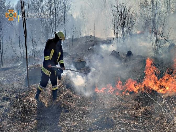 На Львівщині за добу гасили понад 130 пожеж сухої трави