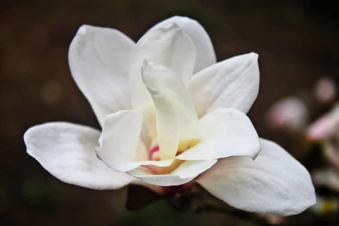 Фото: Київська міська студентська поліклініка