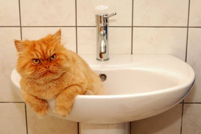 Ілюстративне фото