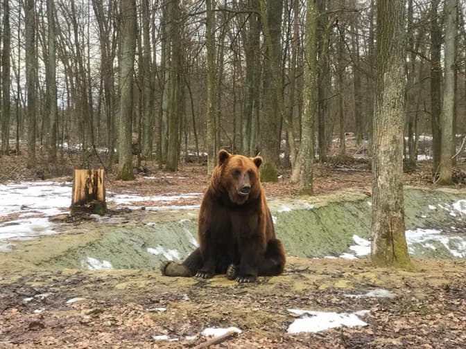 Фото: Facebook-сторінка Домажир