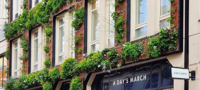 У Києві шукають локацію для створення «Живої стіни»