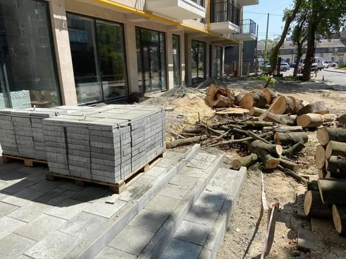 Поблизу новобудови на Торф'яній зрізали дерево і гілля. Чи мав забудовник дозвіл