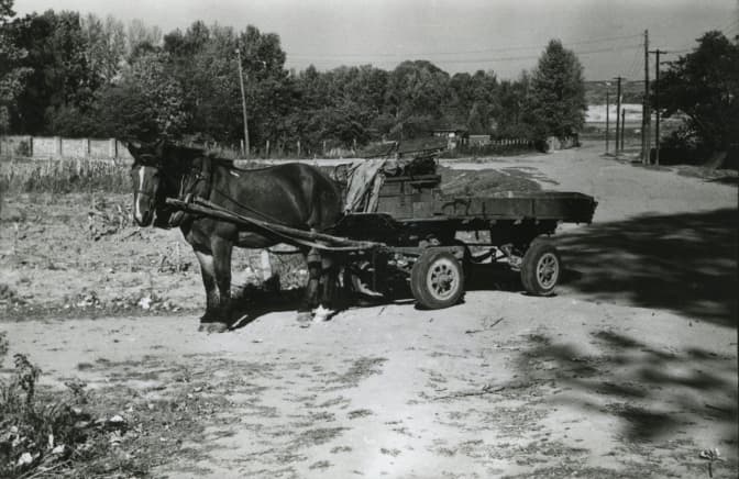 Коні, підводи і побілені хати. Яким був Замарстинів 60 років тому