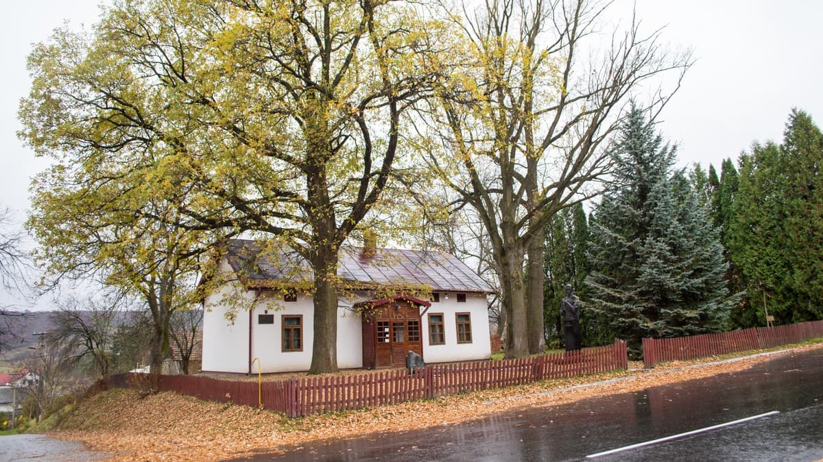 Висока планка. Чому Зашків хоче приєднатися до Львова. Репортаж