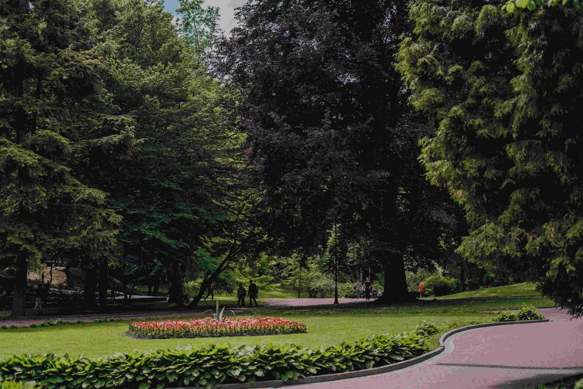 В одному із парків Львова проведуть благодійний ярмарок з гаївками для збору на авто для військових