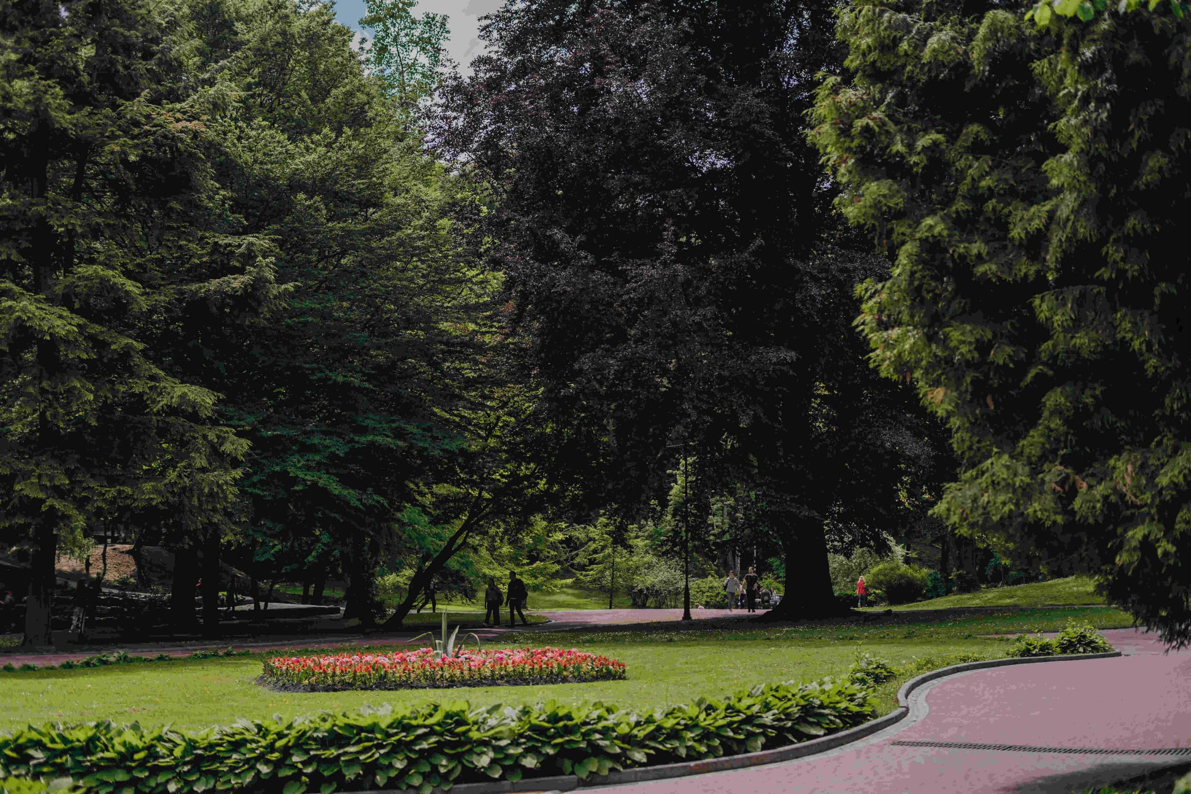 Фото умовне