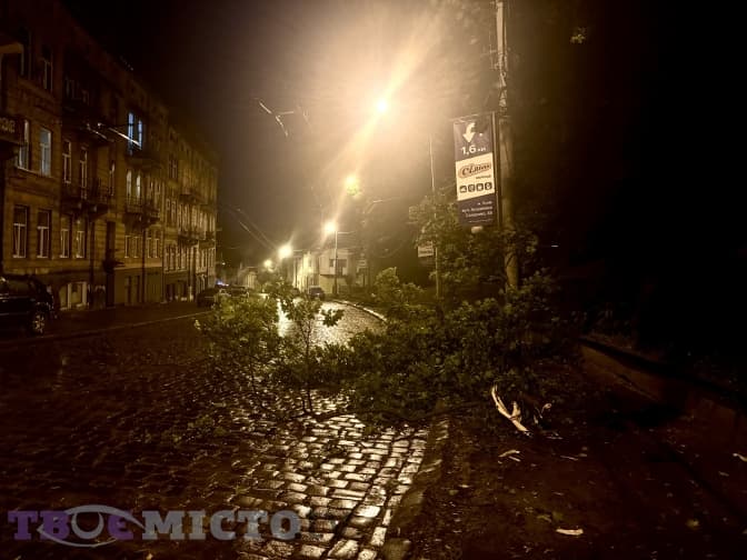 Внаслідок негоди у Львові постраждали дерева в кількох парках. Найбільше – в парку Франка