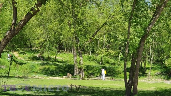 Як парки у Львові обробляють від кліщів. Фото, відео