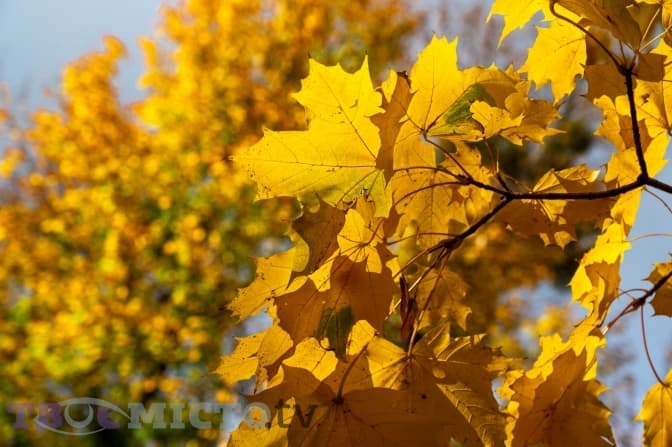 У Львові зафіксували новий температурний рекорд