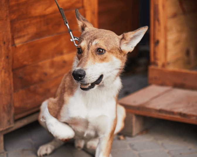 Фото: Ірина Шелест