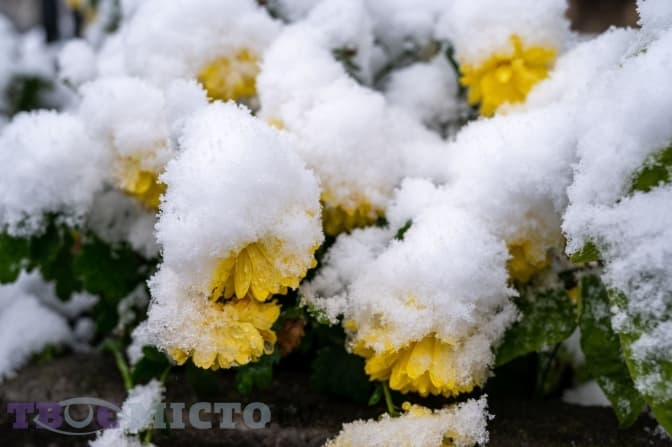 Мокрий сніг та ожеледиця. Якою буде погода у Львові на тижні