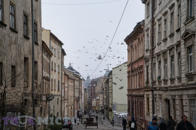 Туман та поривчастий вітер. У Львові оголосили штормове попередження
