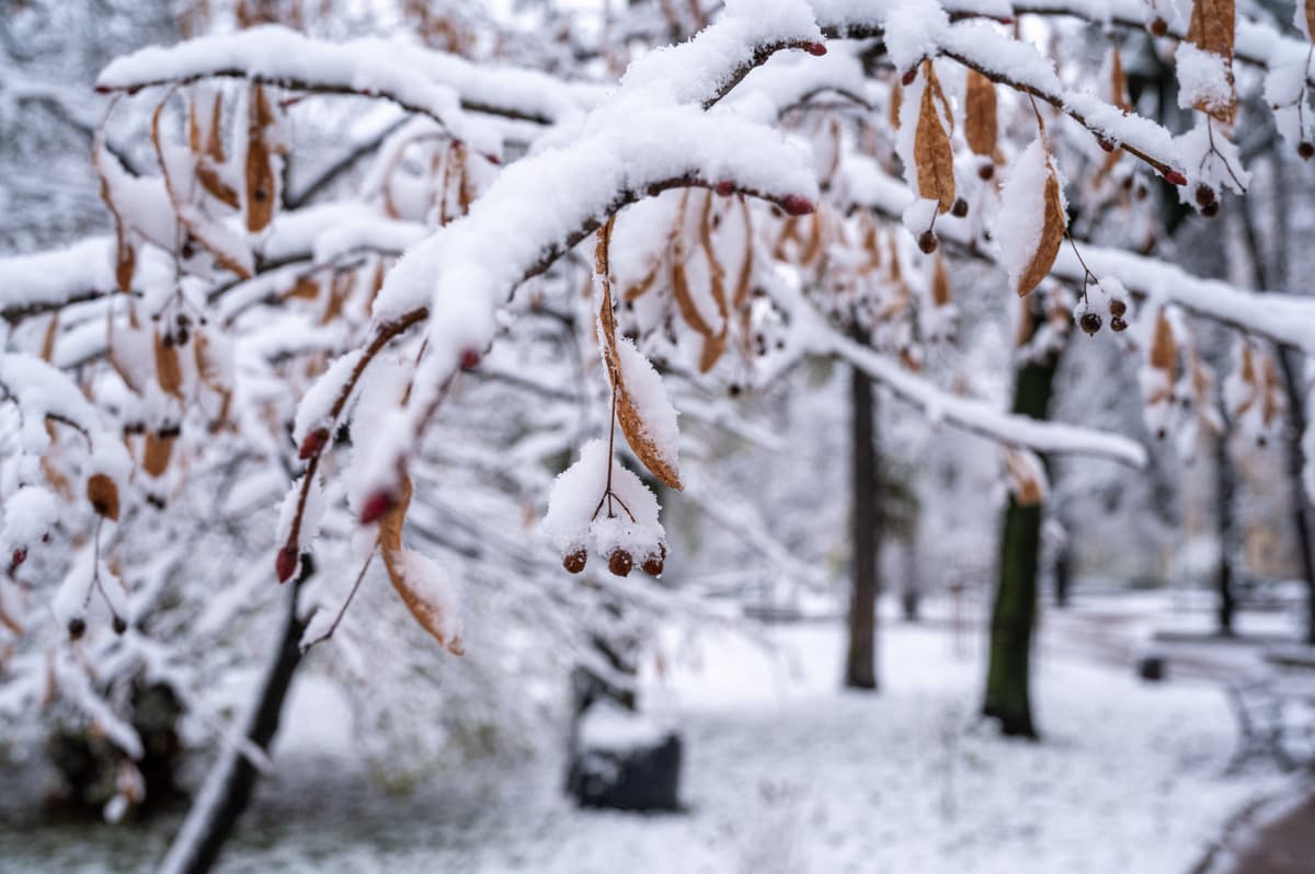 Львів'ян попереджають про ожеледицю на дорогах