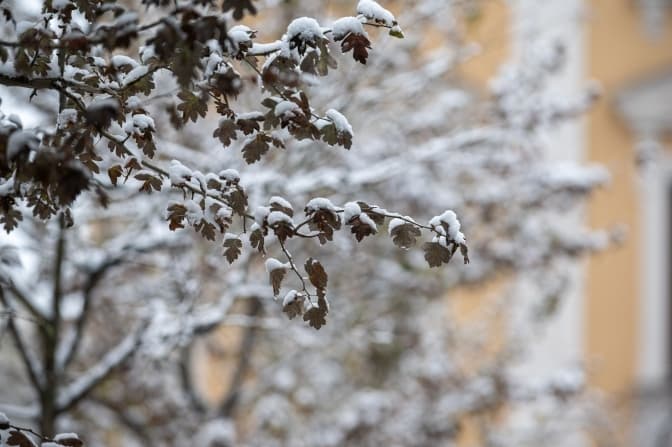 Фото: Твоє місто