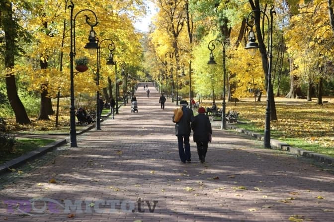 Відновлення навчання в школах та хто і як проєктує львівські вулиці. Головне за добу