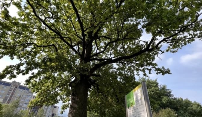 Фото: Львівська обласна рада