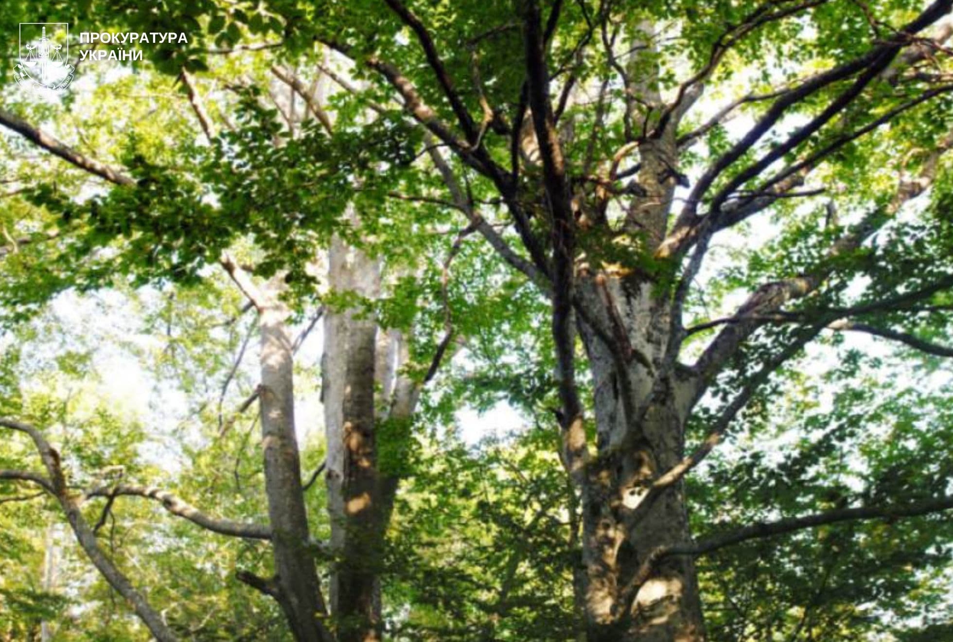 Фото: Львівська обласна прокуратура