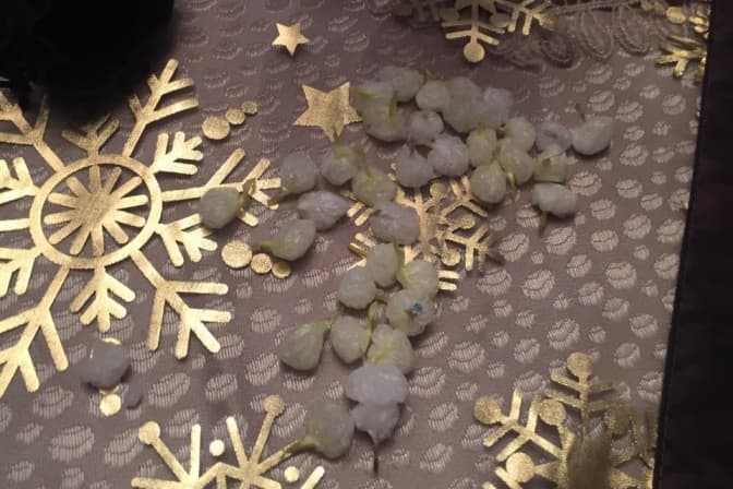 фото: Нацполіція Львівщини