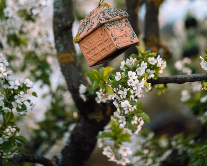 Фото: Max Saeling for unsplash