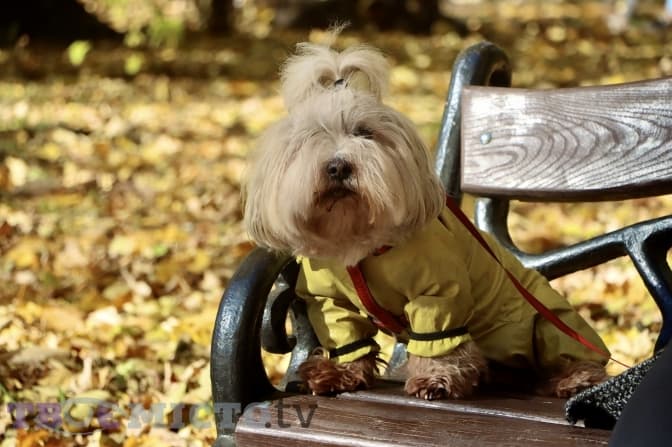 Фото: Анни Чистякової