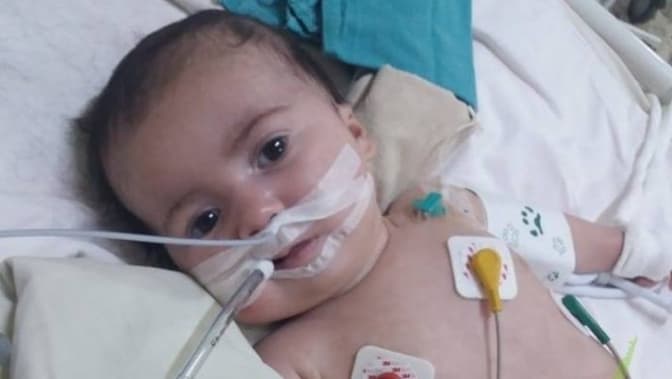 Фото: Наталія Ліпська