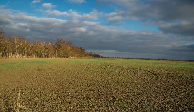 Умовне фото