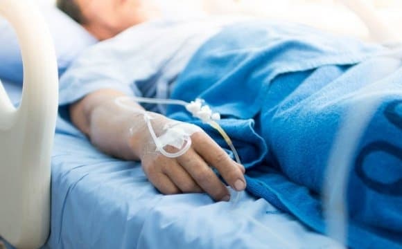 Через укус змії 33-річний львів’янин потрапив до реанімації