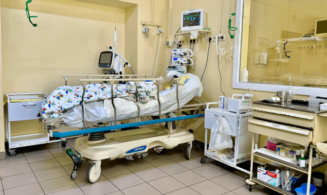 У львівській лікарні вже місяць перебуває в комі 13-річна дівчина з правцем