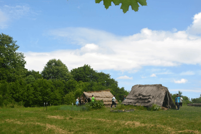 Мешканців Львівщини запрошують в національний парк на природотерапію