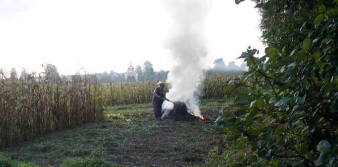 На Львівщині за допомогою безпілотника спіймали 7 паліїв трави