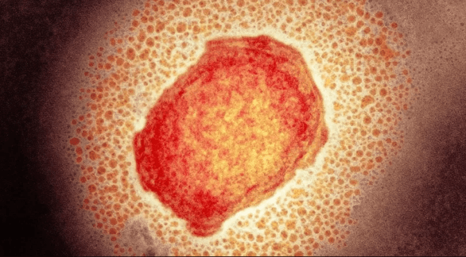 фото: SCIENCE PHOTO LIBRARY