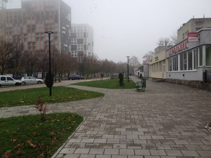 Львів’ян просять долучитись до пересадки дерев на Володимира Великого