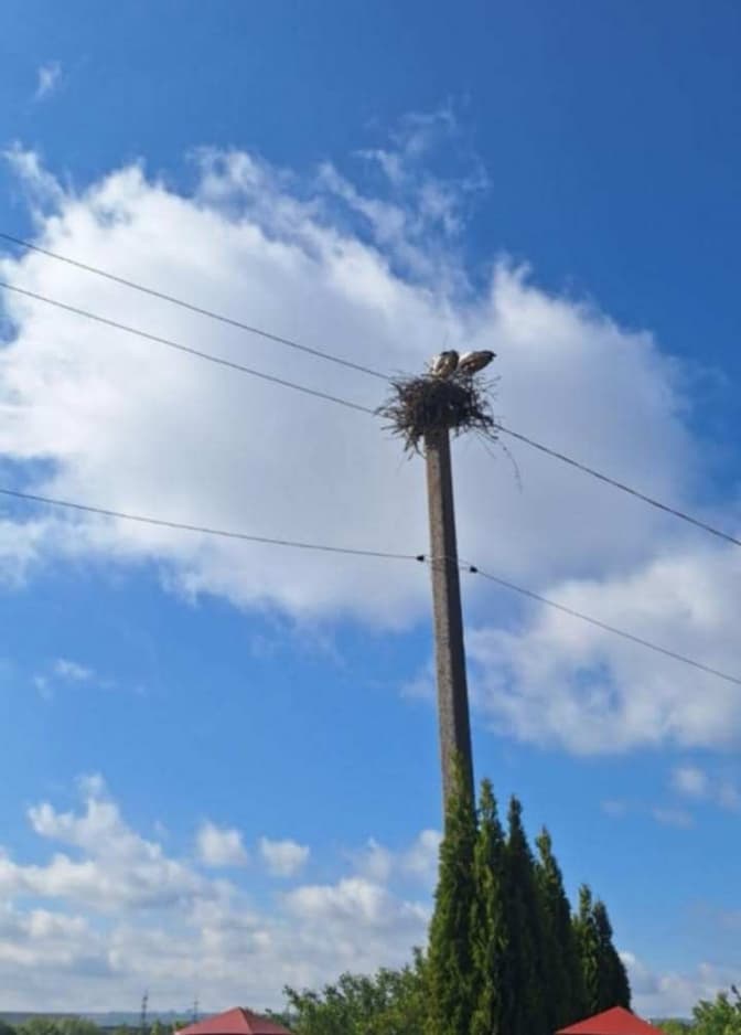 Умовне фото