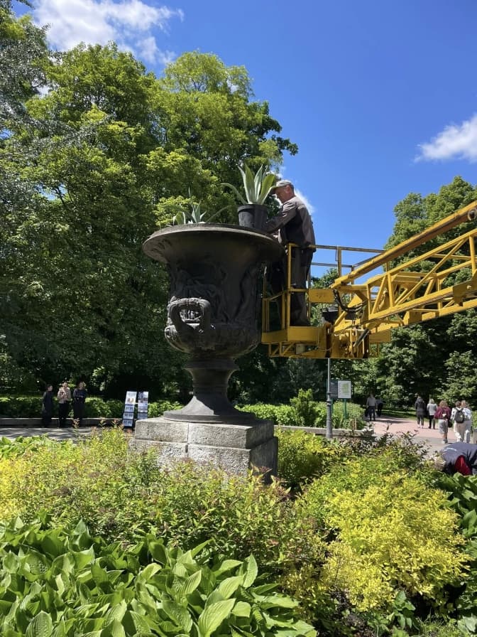 Фото: управління екології Львова
