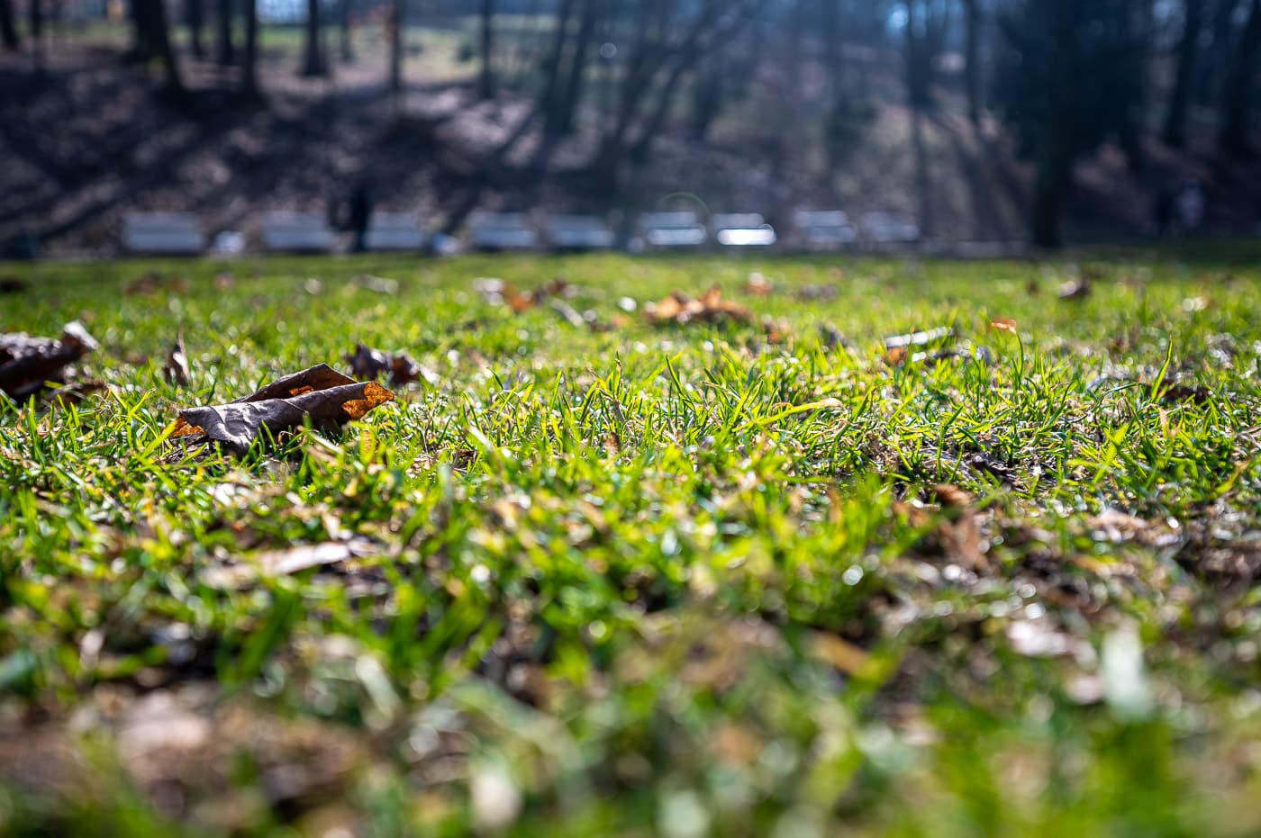 Фото: Твоє місто