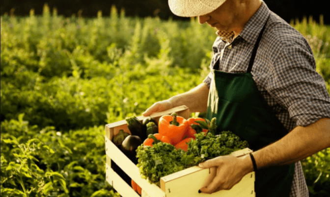 Фото: god2019.net