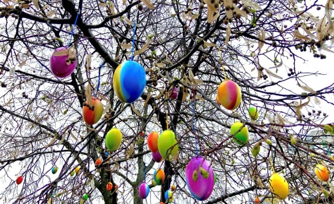 ФОТО: ДАРНИЦЬКА РДА

