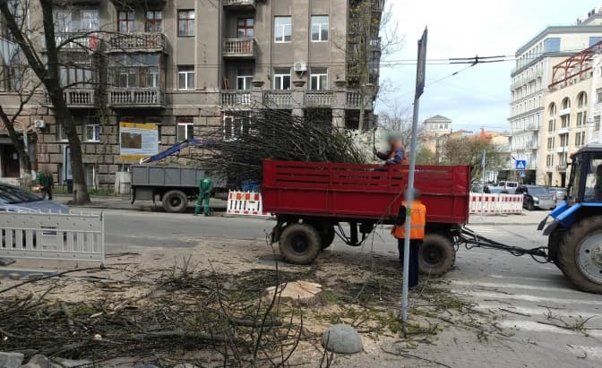 Під час ремонту та озеленення вулиці у центрі Києва зрізали два дорослі дерева