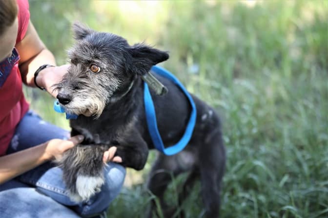 фото: ЛКП "Лев"/Facebook