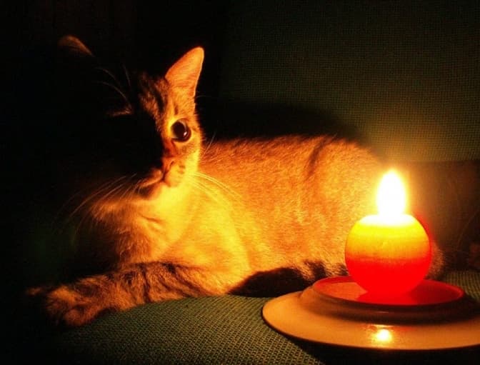 «Люди нас почули, але частково». В «Укренерго» розповіли, де зросло енергоспоживання